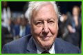 David Attenborough Net Worth, Age, Height, Bio, Birthday, Wiki!