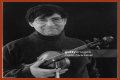David Shapiro (musician)