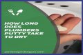 How long does it take for spot putty to dry?
