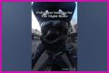 Night Rider Arrested, What Happened To Night Rider?