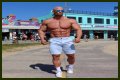 “You’re an A**hole”: Bodybuilding Icon Joey Swoll Blasts at Tall Gym Guy Calling
Americans Short